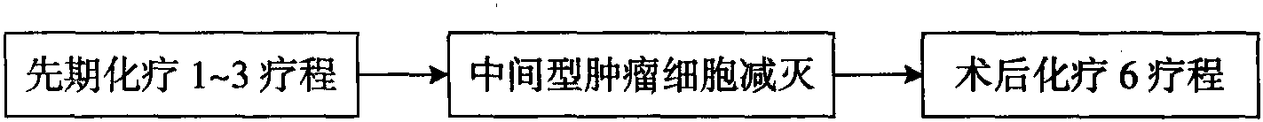 第一節(jié) 新輔助化療